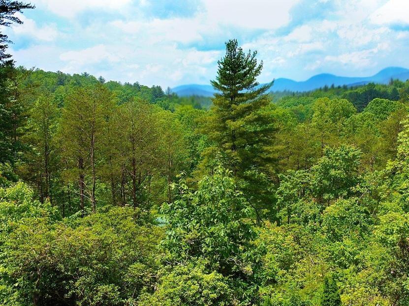 Long Mountain Lodge Bed & Breakfast Dahlonega Room photo