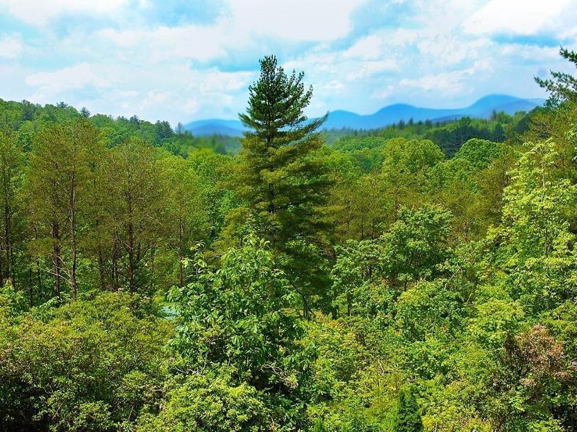 Long Mountain Lodge Bed & Breakfast Dahlonega Room photo