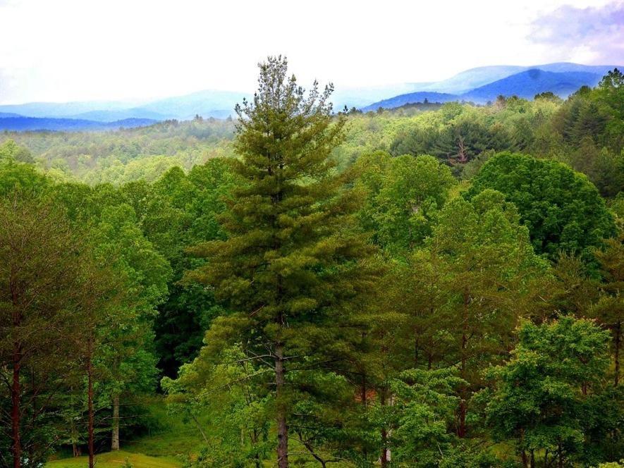 Long Mountain Lodge Bed & Breakfast Dahlonega Room photo